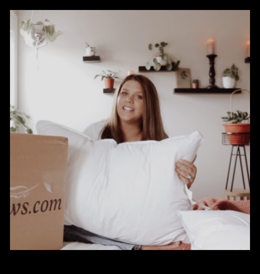 Pillow Paradigm Ο οδηγός σας για ξεκούραστα καταλύματα 4 Pillow Paradigm: Ο οδηγός σας για ξεκούραστα καταλύματα