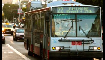 Bus Chronicles: Personal Narratives from Public Transit Enthusiasts