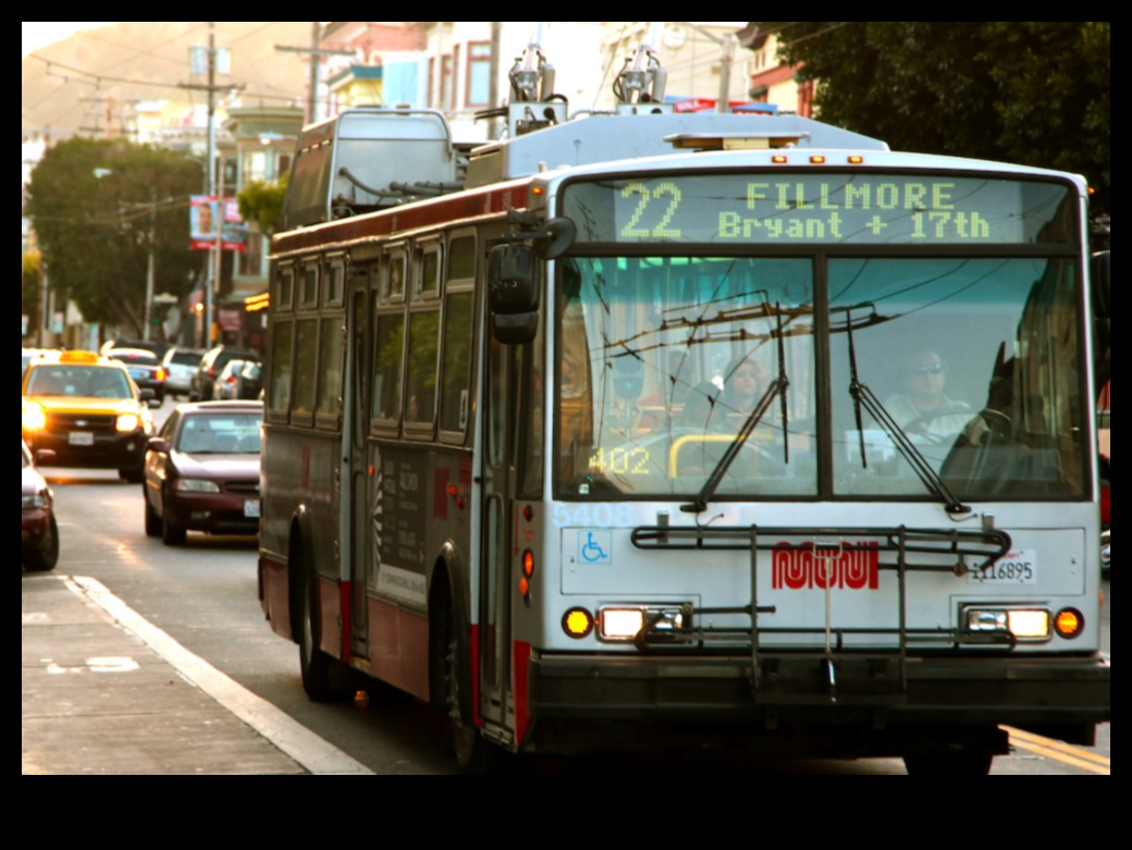 Bus Chronicles: Personal Narratives from Public Transit Enthusiasts