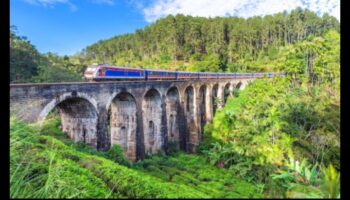 Sightseeing Odyssey: Navigating the Beauty of the World