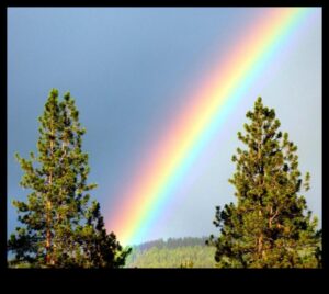 Rainbow Radiance: Techniques for Vibrant Color Photography