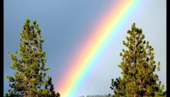 Rainbow Radiance: Techniques for Vibrant Color Photography